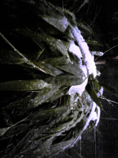 170209_172302.jpg