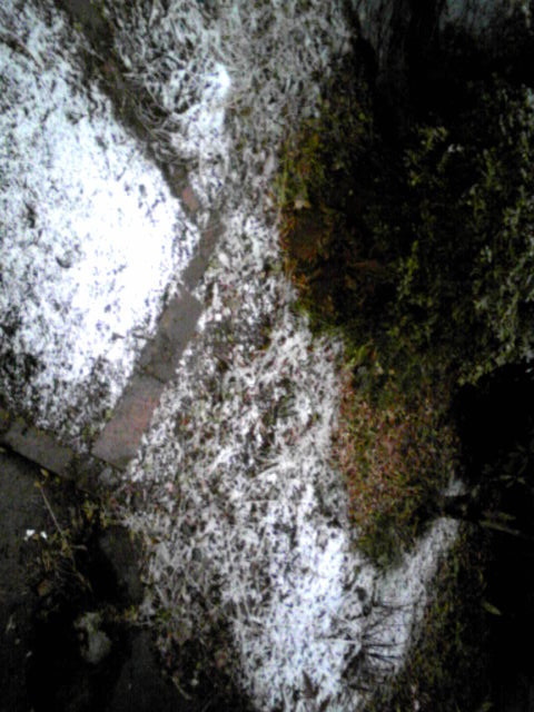 170209_172332.jpg