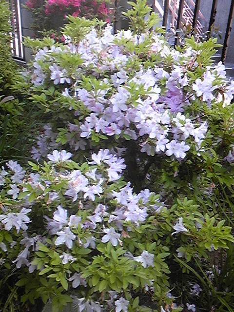 170506_170236.jpg