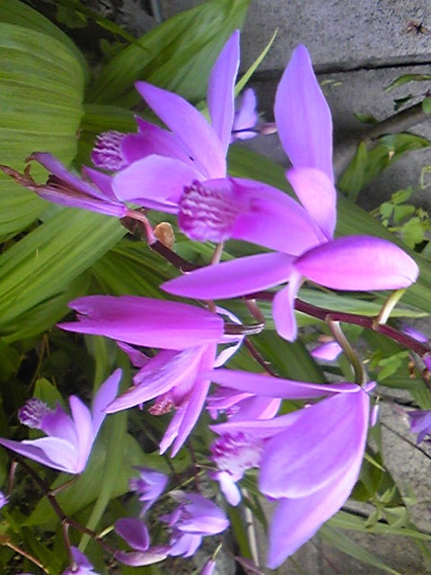 170506_170506.jpg