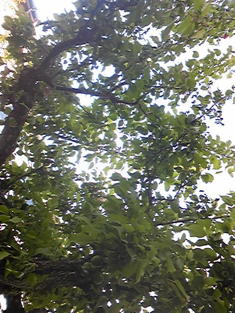 170506_170553.jpg