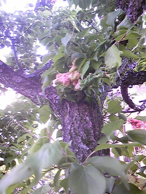 170506_173343.jpg