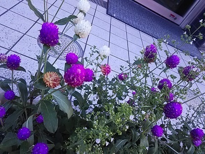 DSC_0218.JPG
