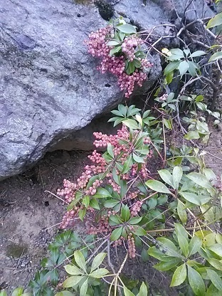DSC_1106.JPG