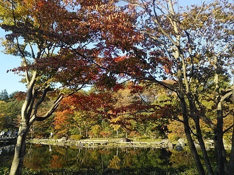 DSC_1155.JPG