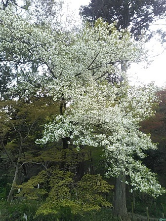 DSC_1157.JPG