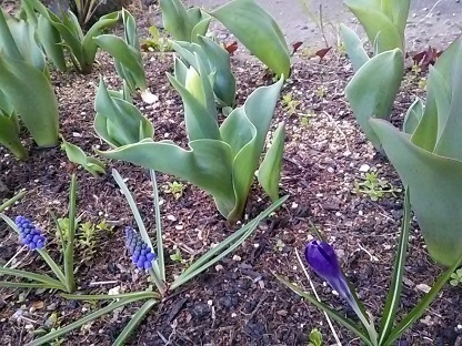 DSC_1198.JPG