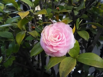 DSC_1211.JPG