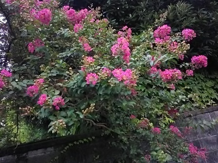 DSC_1255.JPG