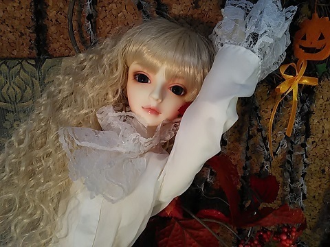 DSC_1558.JPG