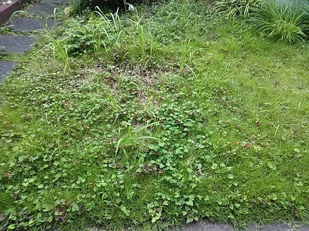 DSC_1899.JPG