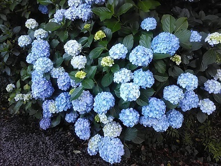 DSC_2216.JPG