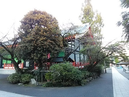DSC_2866.JPG