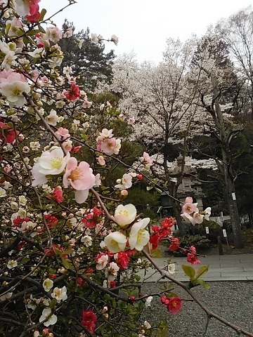 DSC_3893.JPG