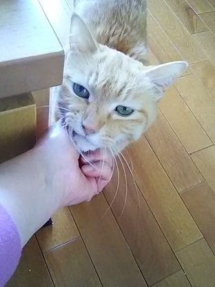 DSC_4427.JPG
