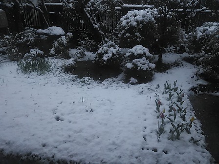 DSC_5187.JPG