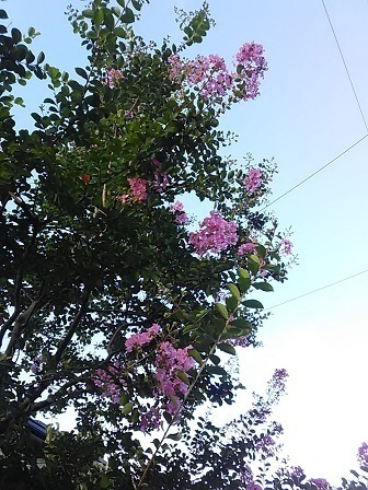DSC_8720.JPG