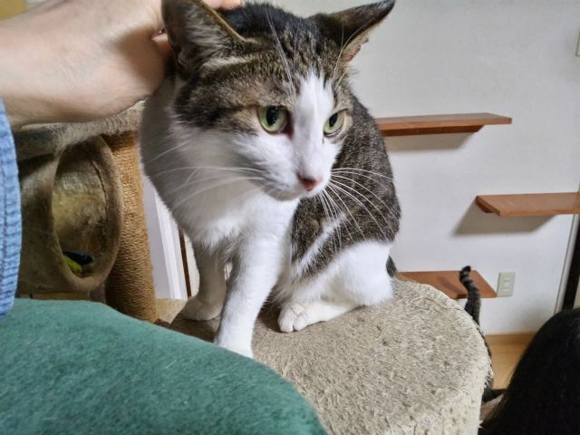 DSC_4745.JPG